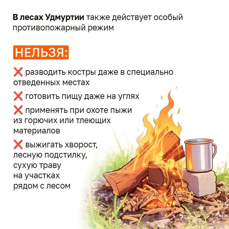 На то, как горит огонь, можно смотреть бесконечно, но… На то, как горит огонь, можно смотреть бесконечно, но…