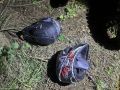 Школьница попала в больницу после опрокидывания питбайка в Удмуртии