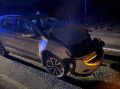 Пассажирка «Фольксвагена» попала в больницу после встречи с лосем на ночной трассе