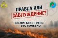 «Сейчас все спалим и клещей не будет!»