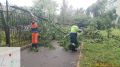Дорожные службы Ижевска на страже порядка