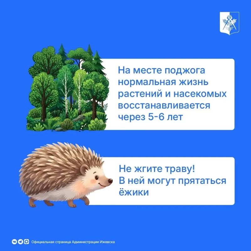 В Ижевске продолжает действовать особый противопожарный режим В Ижевске продолжает действовать особый противопожарный режим