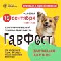 Собака - друг человека. 19 сентября в Фан-зоне Парка Кирова пройдет благотворительный семейный фестиваль «ГавФест» С 11:00 до 17:00 вас ждут: выставка собак из приютов «ZooРай» и «Кот и пес», которые ищут новый дом