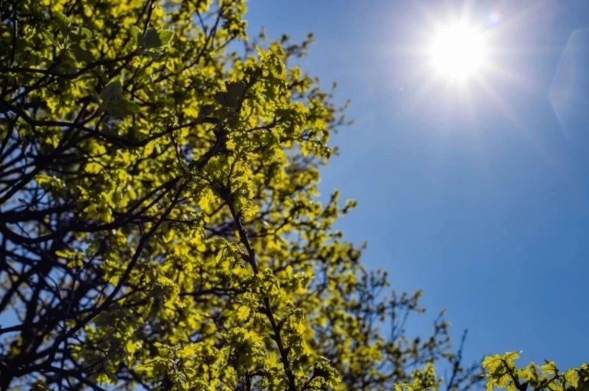 До +21°С потеплеет в Удмуртии на предстоящих выходных