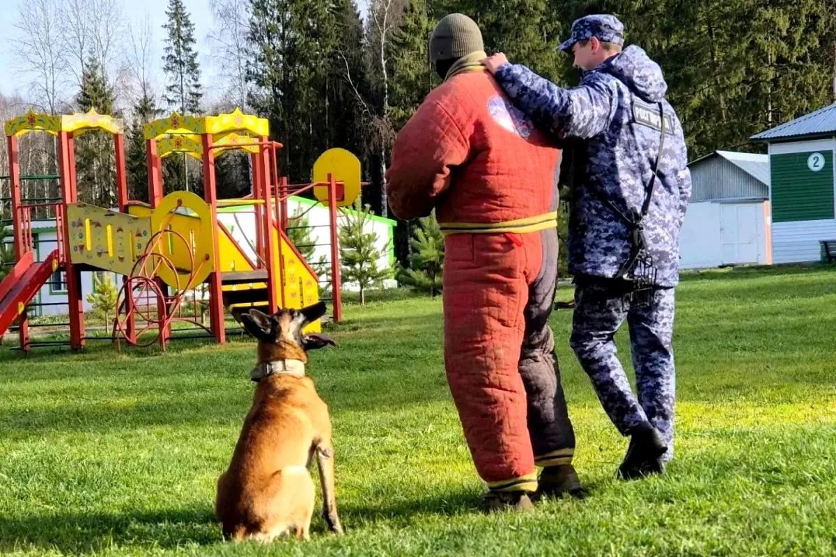 В Удмуртии кинологи Росгвардии рассказали школьникам о своих четвероногих напарниках В Удмуртии кинологи Росгвардии рассказали школьникам о своих четвероногих напарниках